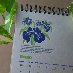 Detalle d Página interior del calendario letterpress 2021, este año dedicado al medio ambiente, con curiosidades naturalistas y retos medioambientales. Lirio de invierno impreso a dos tintas